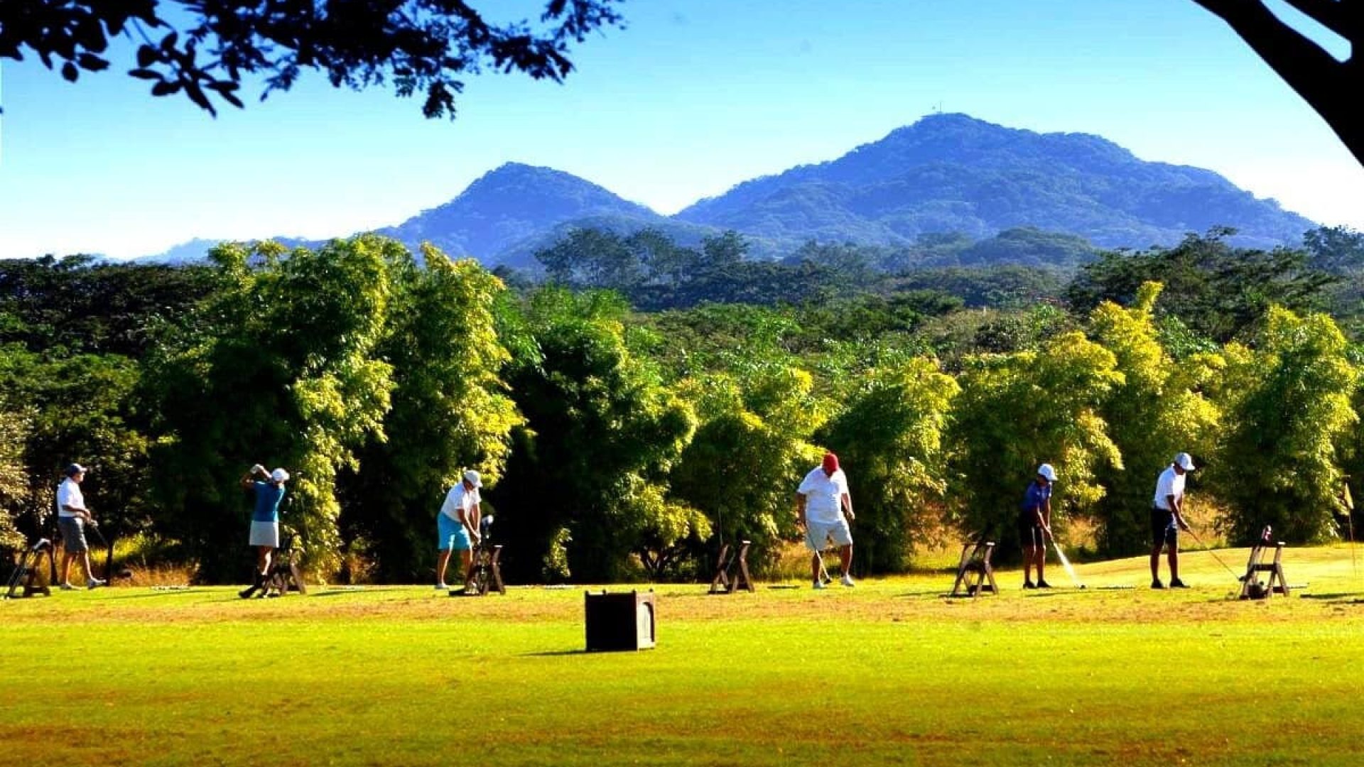 Golf court