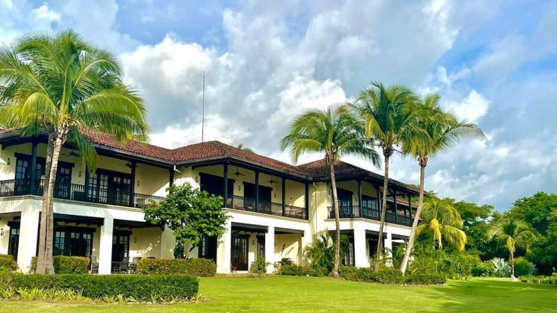 Copy of Palma Real 5