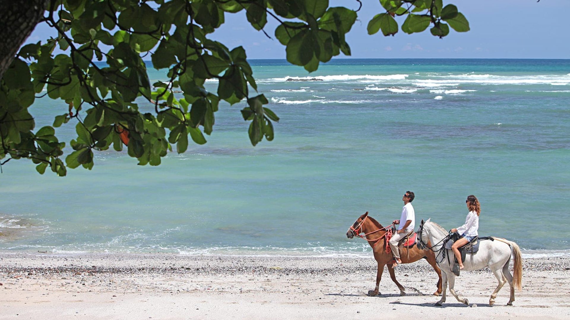 Horseback riding Langosta Beach