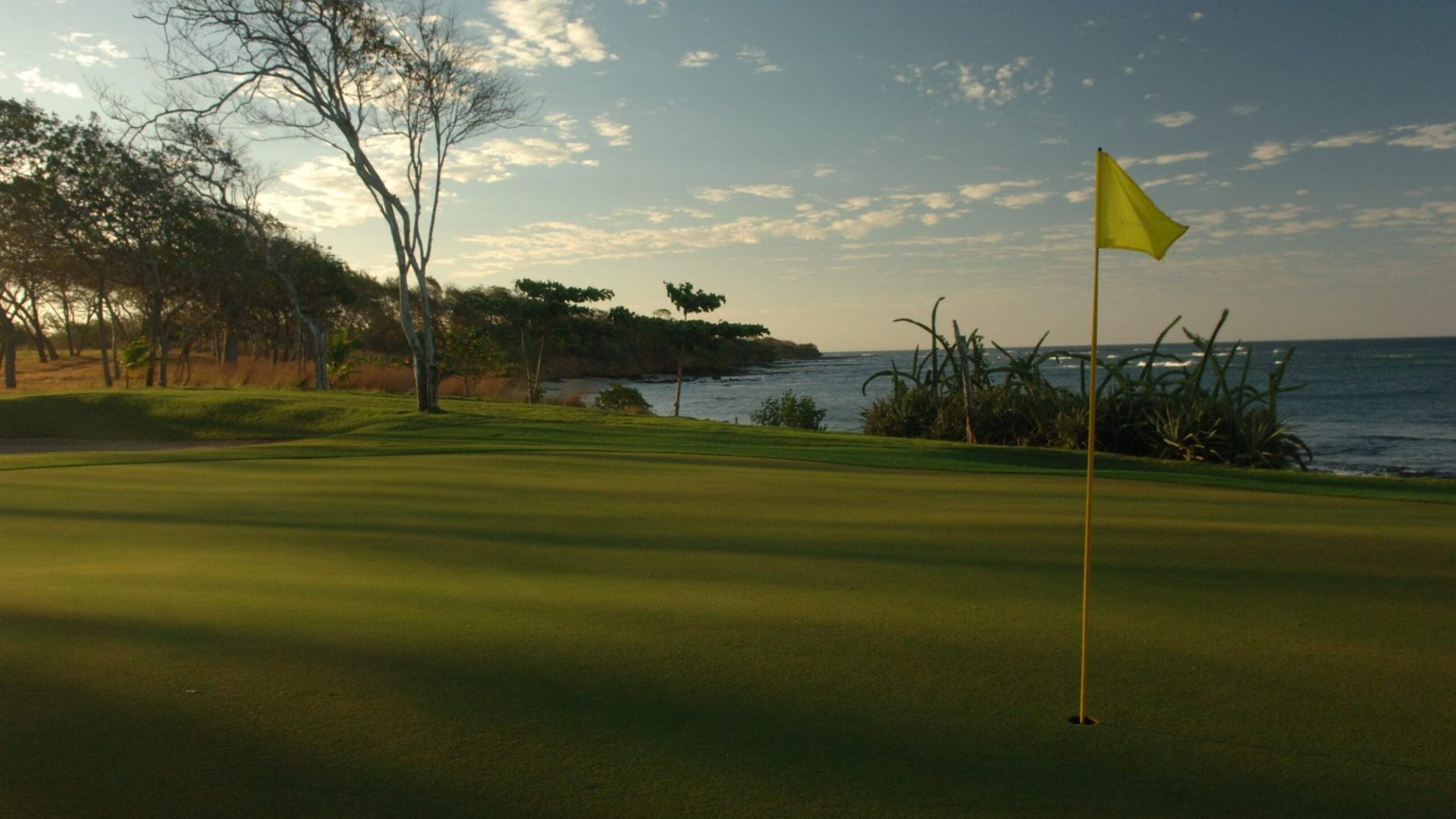 Golf Court